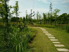 -上海长兴岛郊野公园