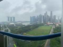 -新加坡瑞士史丹福酒店