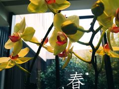 -上海崇明金茂凯悦酒店