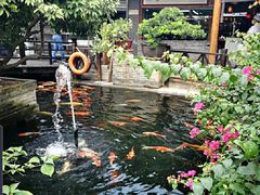 -猪肉婆私房菜(容桂总店)