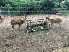 -北京山里寒舍度假酒店