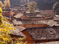 -杨家堂村