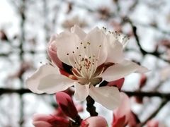 -滨河世纪广场公园