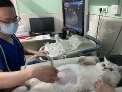 -天津前进宠物医院(前进道店)