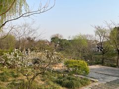 -广富林郊野公园