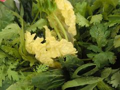 -草原传奇鲜羊火锅(桥北店)