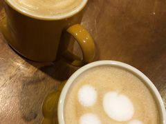 -more than meow吴止猫主题餐厅(承德 中船汇店)