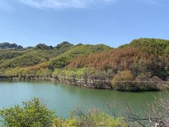 -玉渡山自然风景区