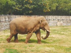 -西安秦岭野生动物园
