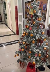 -香秀空间科技抗衰·美容中心