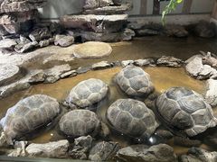 -杭州野生动物世界
