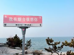 -养马岛旅游度假区
