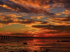 -宝安西湾红树林湿地公园