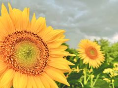 -奥林匹克森林公园北园-停车场