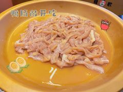 -龍歌自助小火锅(市南金茂湾店)