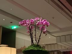 -北京柏悦酒店·锦庭餐厅Dining Room