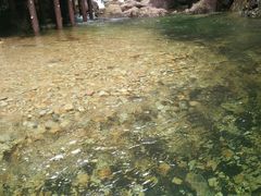 -祁门牯牛降观音堂风景区