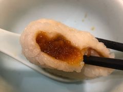 茨毛圆子-双塔老饭店