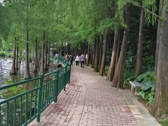 -深圳龙潭公园