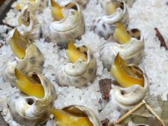 -隅乐胡椒虾·台湾菜·团建(皇岗店)