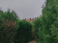 -亲兄弟真人CS团建拓展基地