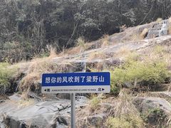 -梁野山景区