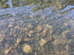 -九曲溪竹筏码头