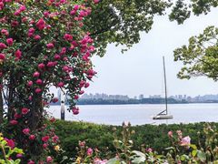 -金鸡湖景区