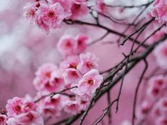 -白塘生态植物园