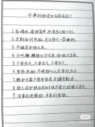 -玛莲朵·海菲秀冰珀科