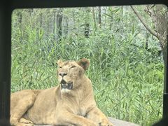 -北京野生动物园