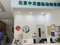 -中农国际动物医院24小时·猫科·骨科·急重症中心