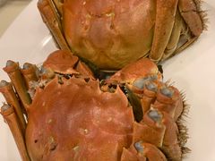 -王宝和酒家(黄浦店)