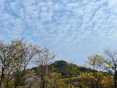 -松山湖风景区松湖烟雨