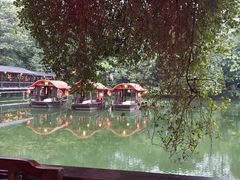 -侨美·唐荔园·40年地道粤菜