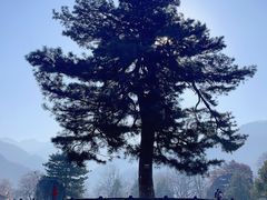 -秦岭终南山世界地质公园翠华山景区