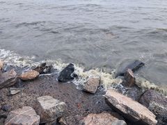 -深圳湾公园(南山区)