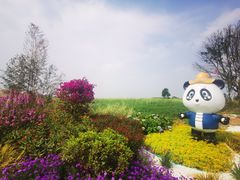 -空港花田景区
