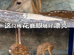 -保定市动物园