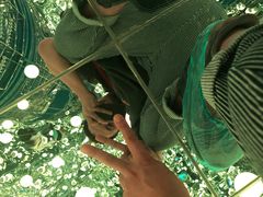 -凯德广场(武胜路店)