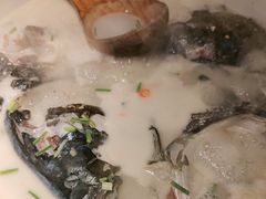 -老傅家湘潭水煮活鱼店(众一国际店)