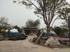 -东平国家森林公园