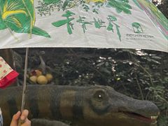 -青青世界