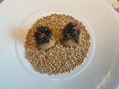 -觀芷隐轩