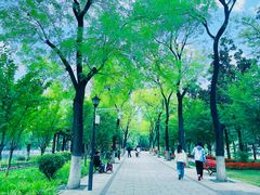 -莲湖公园