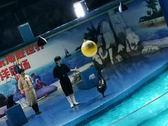 -重庆欢乐海底世界