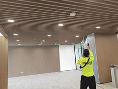-绿色亿家除甲醛机构