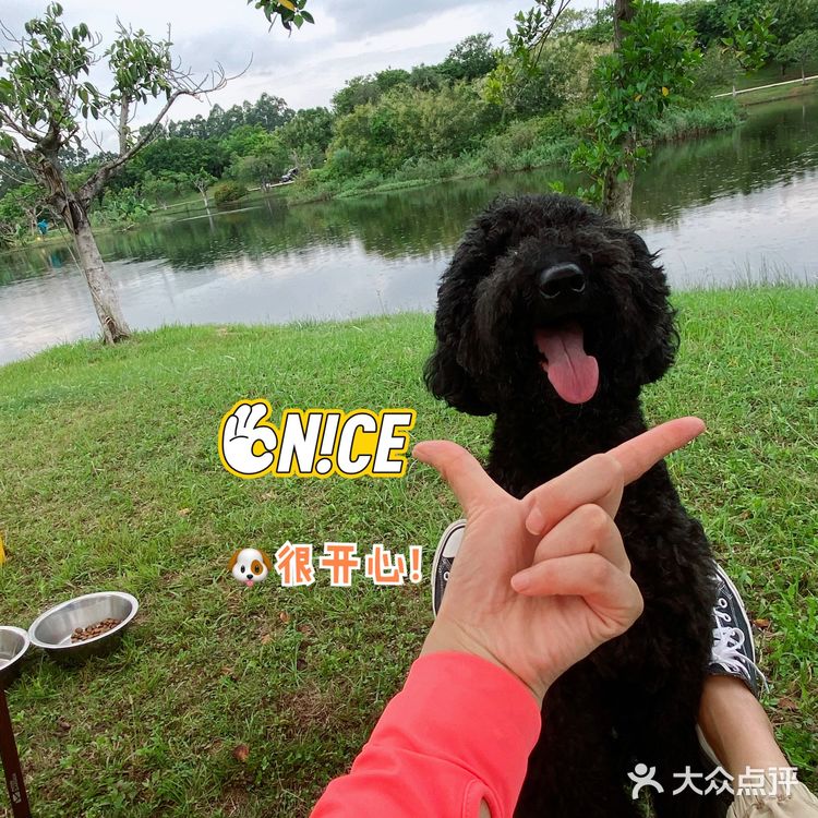 野营之松山湖站！