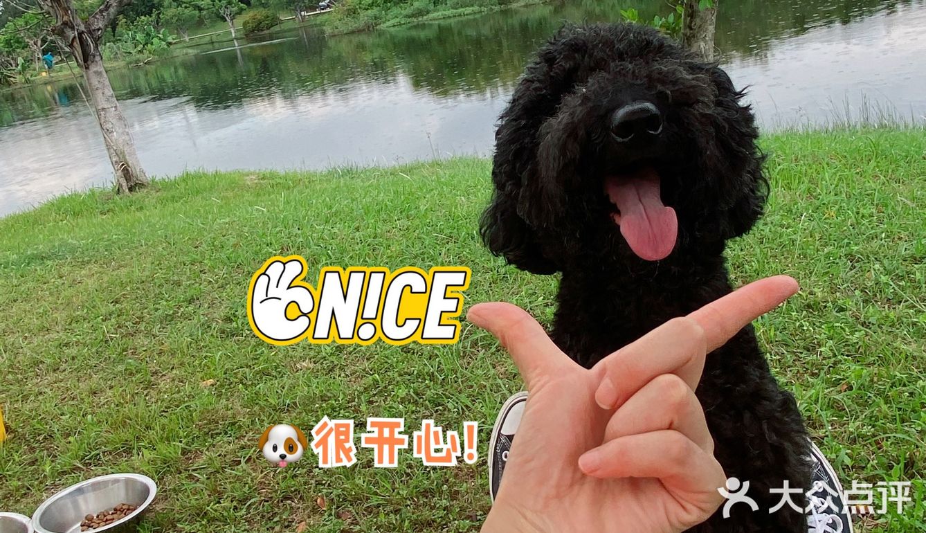 野营之松山湖站！