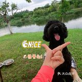 野营之松山湖站！